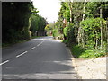 Disused telephone box hiding in hedge