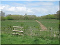 Footpath junction near Quarrington Lane