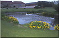 Pond at Moor House Farm