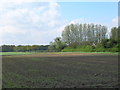 Farmland near Barmby Moor