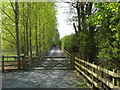 Track off the A1079 near Barmby Moor