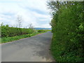 Minor road towards Fangfoss