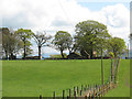 Outbuildings at Edge House Farm