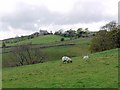 Farmland below Whitestones