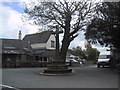 Cross and tree in Cornwood Village