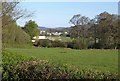 Field and football pitch, Fingle Glen