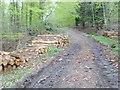 Timber stack near Coate Moor