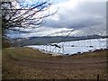 Polytunnel frames near Arthurstone