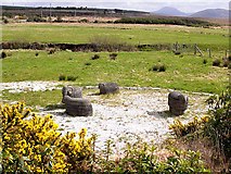 F8531 : Stone sheep in Irish landscape by Oliver Dixon