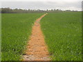 TR0641 : Footpath to Quarrington Lane by David Anstiss