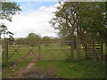 Gate and deer kissing gate near Mersham-le-Hatch