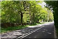 Petworth estate wall on the A283