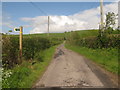 Footpath junction on the Coombe Farm byway