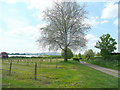 Orchards at Ford House Farm