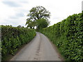 Lane near Coldharbour