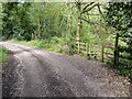 Two stiles and an old track through Lightmoor