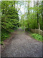 The gate at the bottom end of the Vane Coppice bridleway