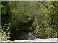 The view upstream from Sticklepath Bridge on the river Taw