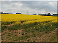 Lytchett Matravers, rape field