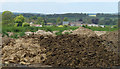 2010 : Muck heap with a view over Ston Easton