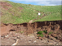 NT6679 : Don't Run Down The Steps : Coastal Erosion at Winterfield Golf Course, Dunbar, East Lothian by Richard West
