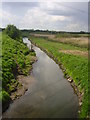 River Torne from Rossington bridge