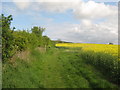 Footpath towards Amage Road