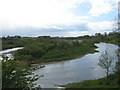 NT8947 : The River Tweed near Norham by James Denham