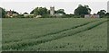 View towards the Church of St. Mary, Freeby