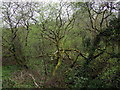 The valley of the Nant-y-bugail