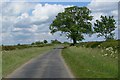 Country road north of Wymondham