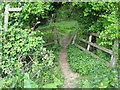 Stile in Beasley Copse on path to Westbrook Hall