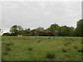 Communications mast by old barns on Waterland Farm