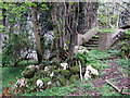 Steps and stones at ruined mansion