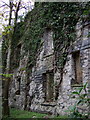 Ruined mansion, Llanstinan, south wall