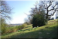 View south from the 1066 Country Walk