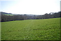 1066 Country Walk crossing a field