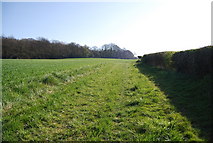 TQ8512 : 1066 Country Walk heading to Martineau Lane by N Chadwick