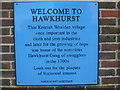 Plaque 1 on Hawkhurst Library