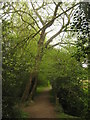 Footbridge near Talbot Road