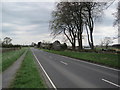 NZ0168 : Military Road near Halton Shields by Les Hull