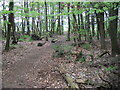 Footpath in Rough Standhills near Moorview Farm