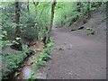 Footpath by Limb Brook in Ecclesall Wood