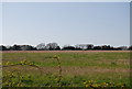 TQ8411 : Rough grassy field off Barley Lane by N Chadwick