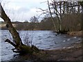 Loch of Clunie