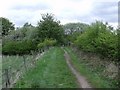 Track to Drumpellier Country Park