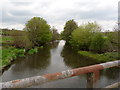 The view downstream from Kersham Bridge on the river Taw