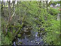 Pendle Water looking upstream at Roughlee