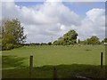 N9255 : Landscape, Co Meath by C O'Flanagan