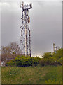 Mobile Phone Mast